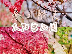 -太阳宫公园