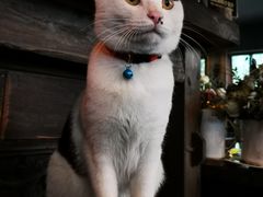 -BUND·FIVE外滩5号(天际店)