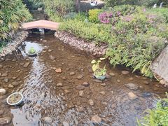 -江门古兜温泉小镇