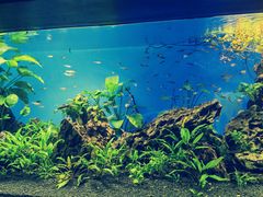 -太平洋海底世界