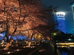 -西北湖绿化广场