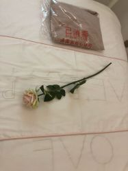 -OAE日式皮肤管理お肌の