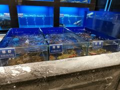 水产区-金时代顺风大酒店(临港百联店)