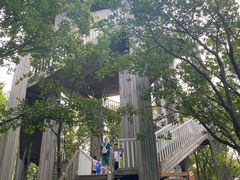 -帽儿山国家森林公园