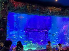 -沈阳海洋探索中心