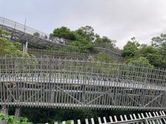 -福道