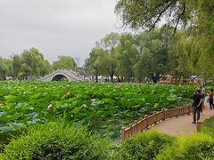 -长春市南湖公园