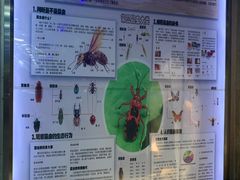 -上海大自然野生昆虫馆(东方明珠·爬宠昆虫探索中心)
