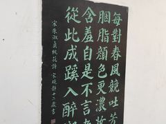 -桃花堤公园