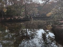 -秋霞圃