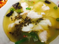 藤椒鱼&nbsp;龙利鱼-猫头婴小酒馆FUN OWL(1912店)