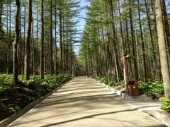 -洛阳白云山景区