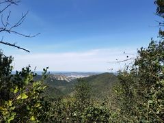 -金龙寺国家森林公园