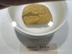 -仪征博物馆