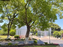 -七宝老街-闵行市民文化广场
