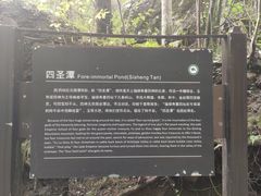 -牛背梁国家森林公园