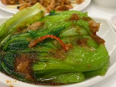 姜蓉水东芥菜-国龙大酒店-中餐厅