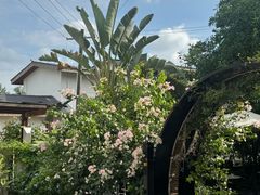 -云里小坐·小院里·团建·宴请·下午茶(三圣乡店)