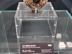 -广西壮族自治区博物馆