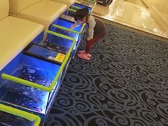 -美林大浴场(奥体中心店)