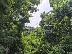 -富斯特索道
