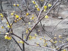 -香山公园-东宫门售票处