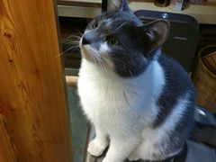 android_upload_pic-MIKAKU(万达广场上海宝山店)