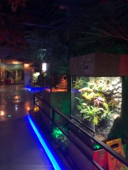 -未来动物城动物主题公园(大悦城店)