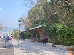 -金鸡山公园