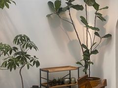 -自由生长植物工作室(深港花卉中心店)