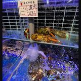 在日照～怎么能不吃海鲜那！！