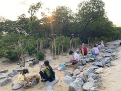 -宝安西湾红树林湿地公园