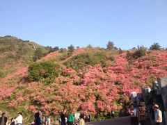 -木兰云雾山