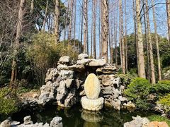 -上海醉白池公园