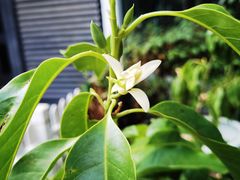 -成康体育青少年篮球培训(相城店)