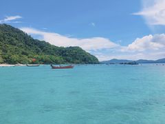 -珊瑚岛