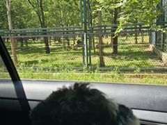 -秦皇岛野生动物园