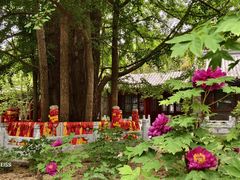-潭柘寺景区