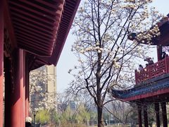 -堤角公园