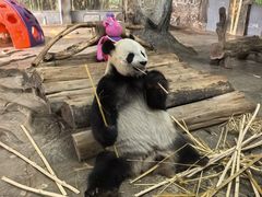 -海南热带野生动植物园