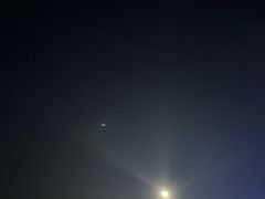 -小麦岛公园