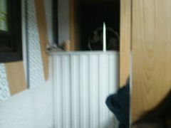 -品腐记·豆腐王朝(老门东总店)