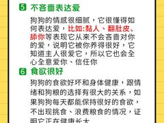 -美联众合动物医院·24h转诊中心