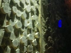 -家乐比水文化休闲广场(望花都店)