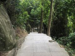 -火炉山森林公园
