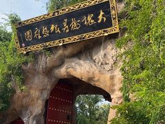 -大槐树寻根祭祖园