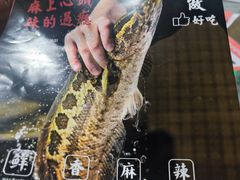 -金三可市井水煮鱼(金碧园店)