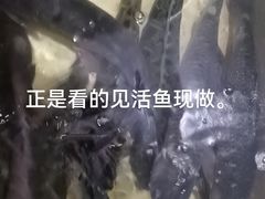 -金三可市井水煮鱼(金碧园店)