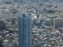 -东京都厅舍