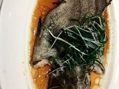 -稻香酒家·34年老字号·港式粤菜(侨光店)